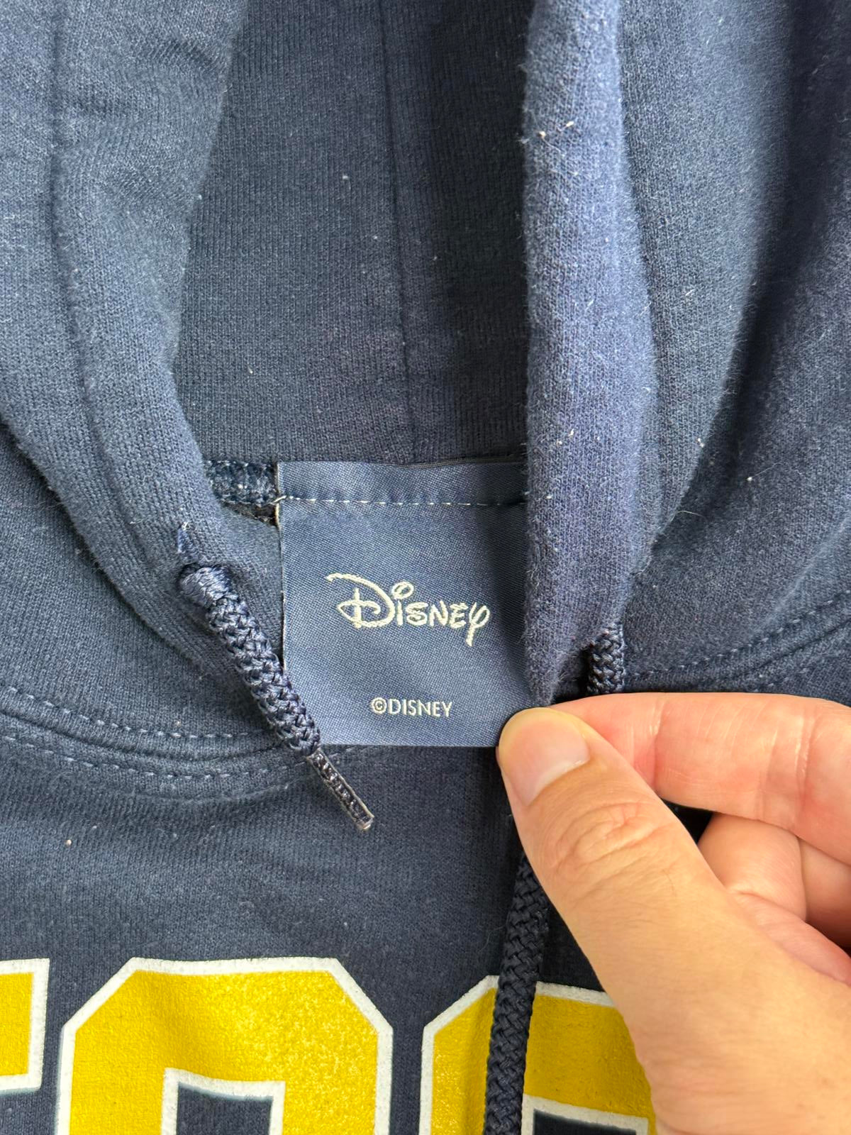 UCSD Hoodie Disney Mickey Mouse University San Diego