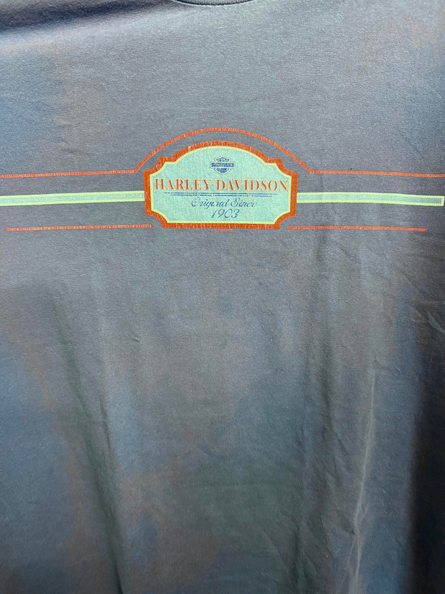 Y2K Faded Blue Harley Davidson Wanted Renegade Poster Gator