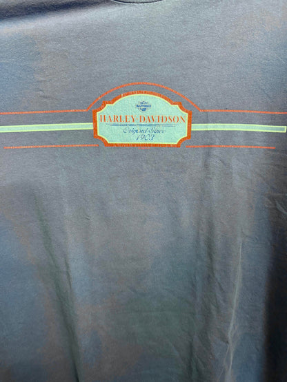 Y2K Faded Blue Harley Davidson Wanted Renegade Poster Gator