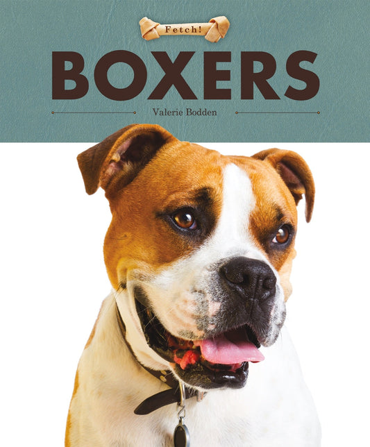 Boxers