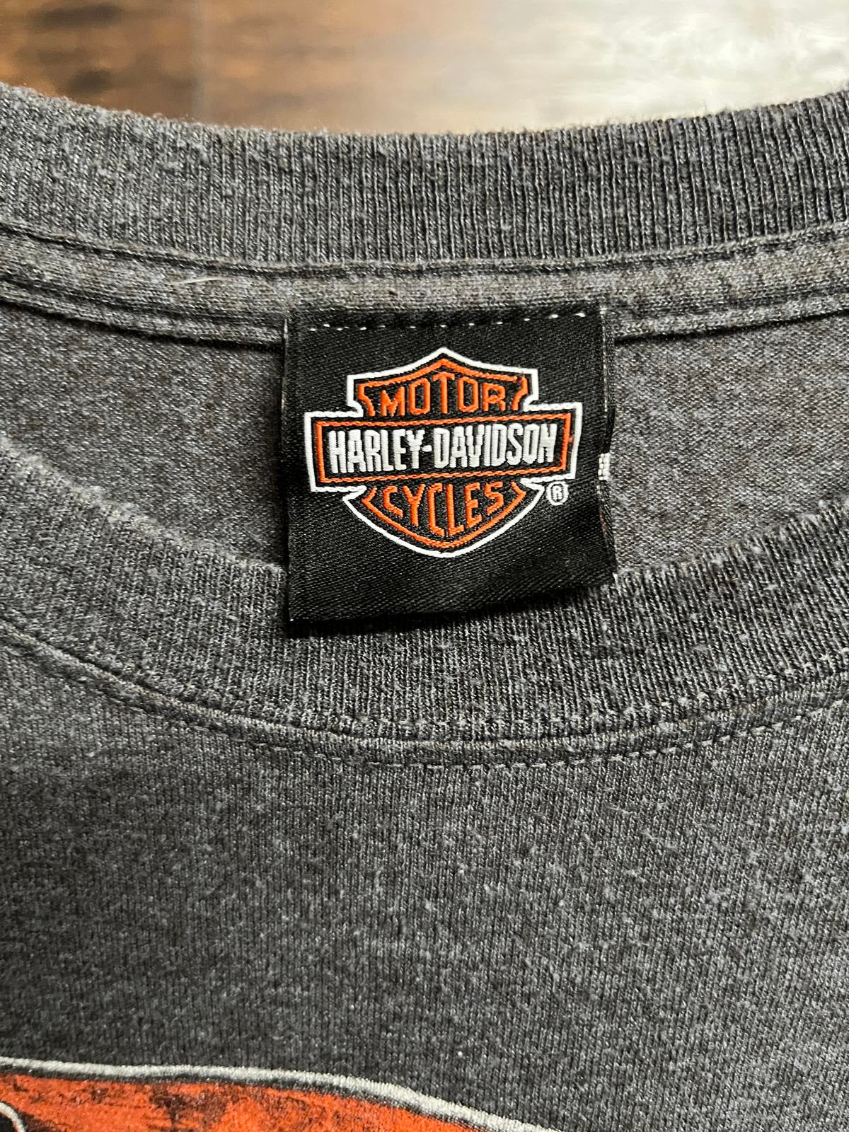 T-shirt Harley Davidson Surfboard Flames Bald Eagle Surf Tee