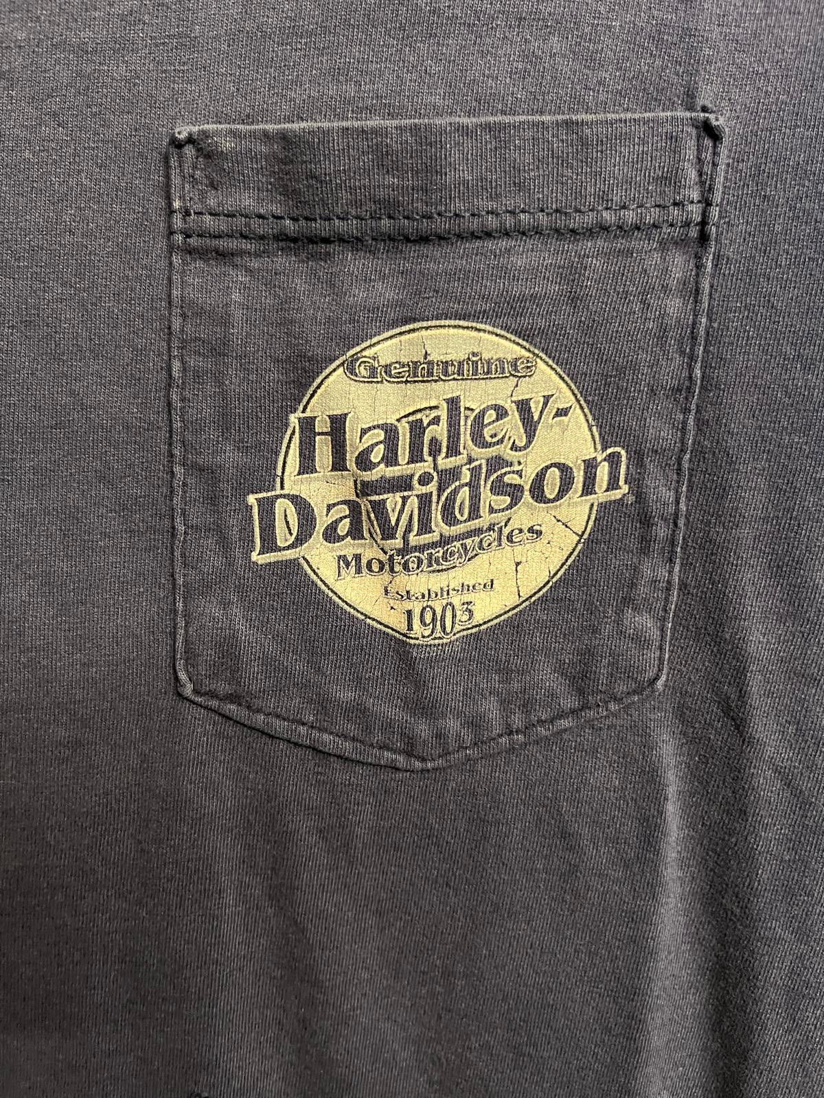 Faded Harley Davidson Pocket Tee Aces Fire Dice - XL