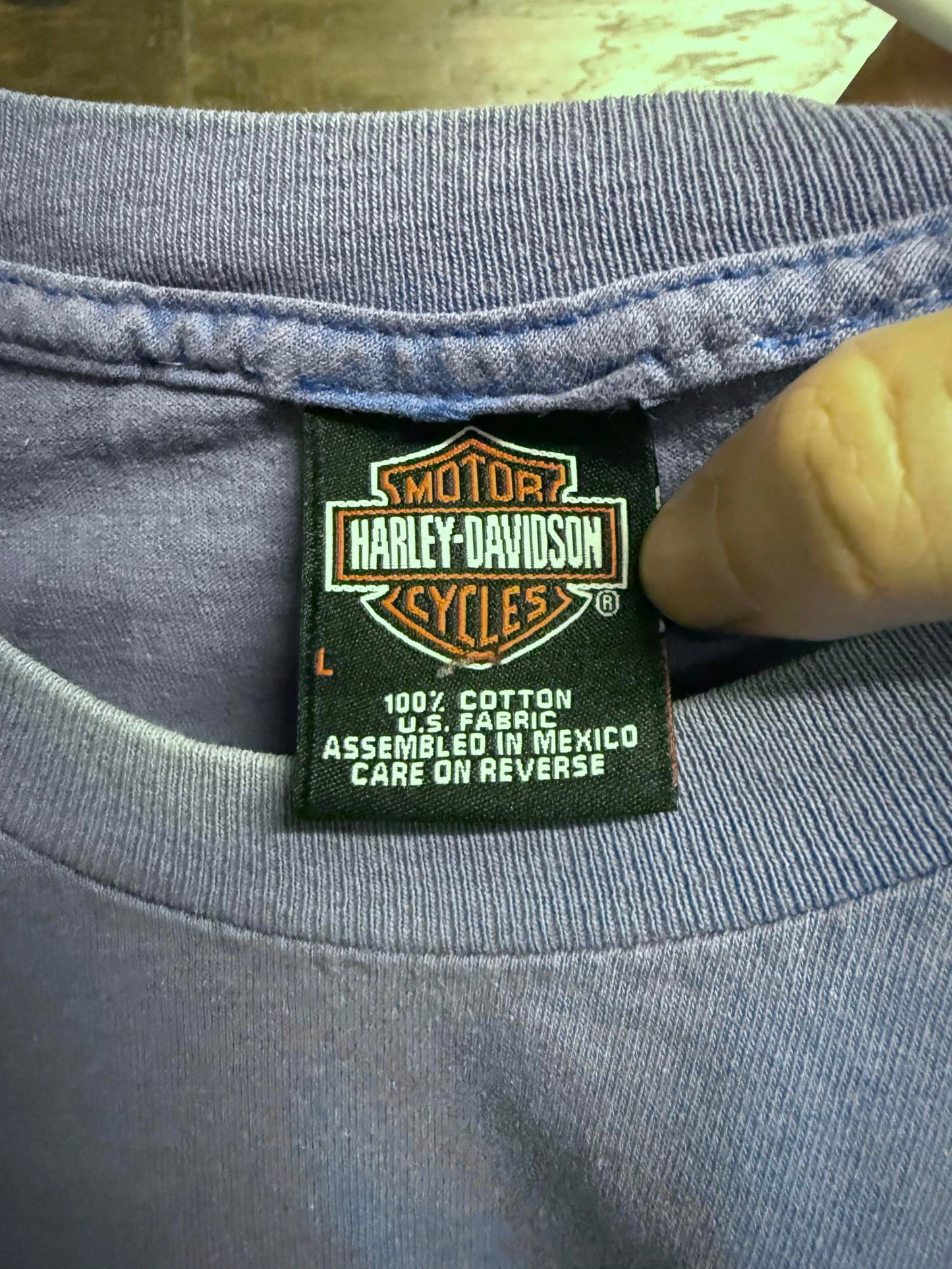 Y2K Faded Blue Harley Davidson Wanted Renegade Poster Gator