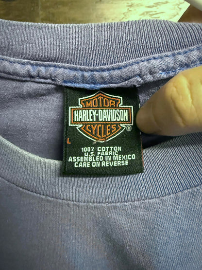 Y2K Faded Blue Harley Davidson Wanted Renegade Poster Gator